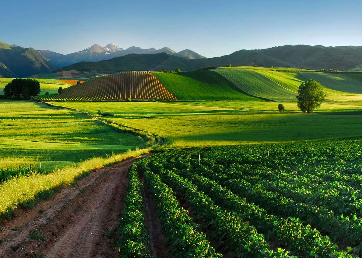 Las mejores escapadas septiembre La Rioja