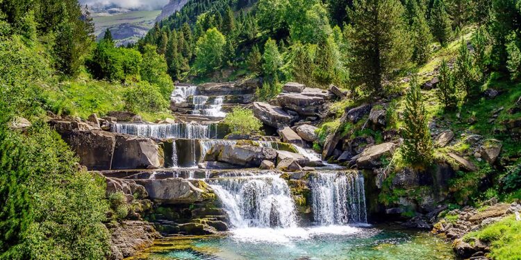 Cinco bosques de España para una escapada de otoño que parece sacada de un cuento